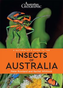 Front cover of Naturalist's Guide to the Insects f Australia