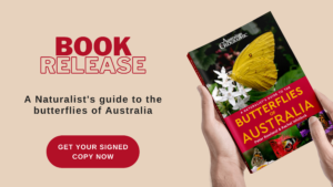 Naturalist's Guide to Butterflies of Australia promo