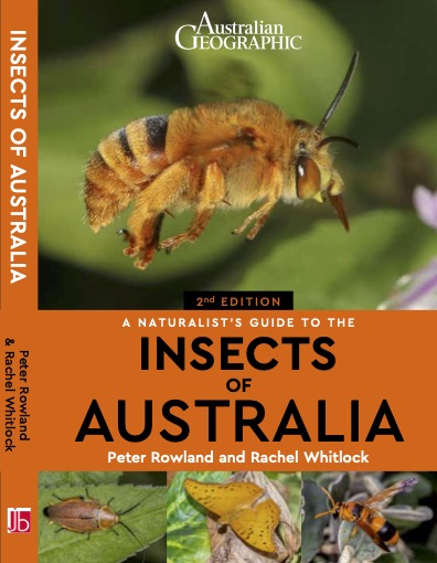 Cover of 2nd Edition of a Naturalists Guide to the Insects of Australia