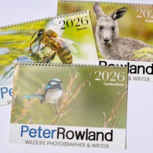 2026 Wildlife Calendar