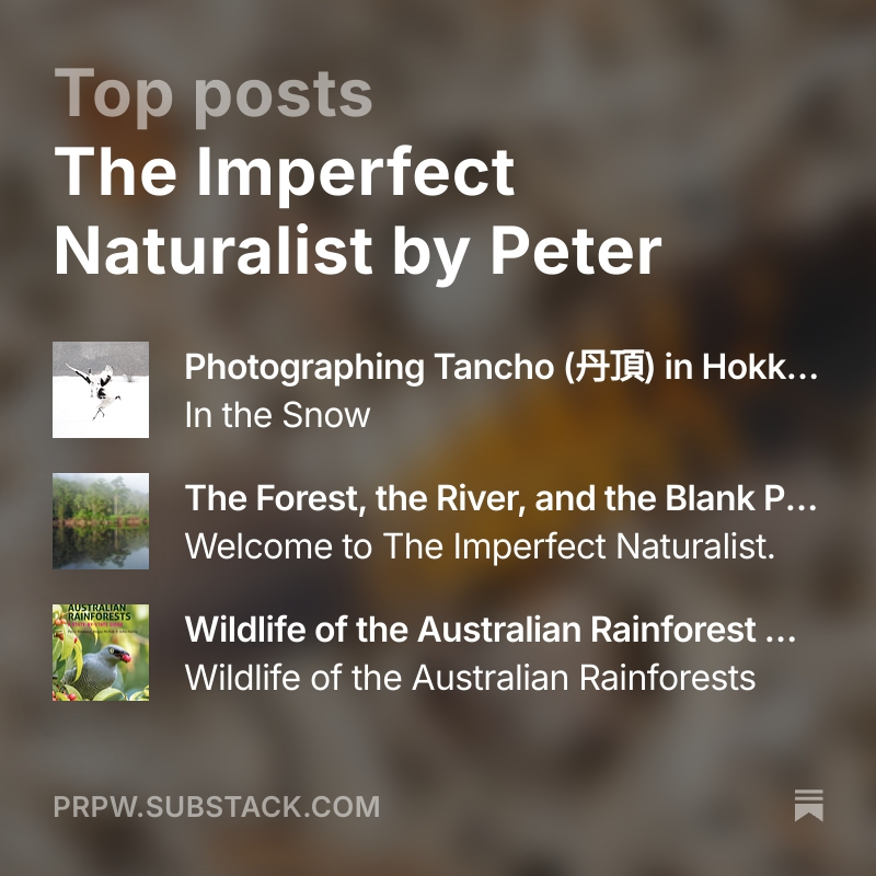 The Imperfect Naturalist - square Substack Channel Logo